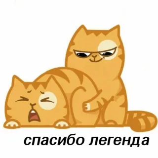 😉 33c9061f спасибо легенда gatto, grazie, leggenda, divertente, meme, russo, cartone animato, adesivo telegram sticker