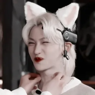 🥩 6acb564d 고양이 귀, 귀여운, 인물 사진, 사람 telegram sticker