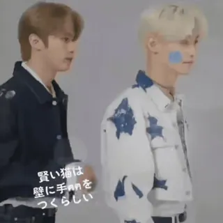 🧷 439f491b 賢い猫は壁に手を
つくらしい เคป็อป, ข้อความภาษาญี่ปุ่น, แมว telegram sticker