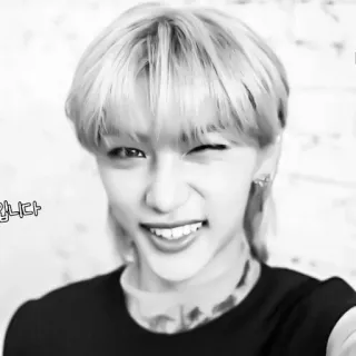 🌟 027f29fb 님니다 Korean, person, portrait, idol, felix, smile, wink telegram sticker