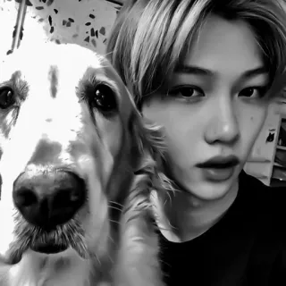 🌟 75226e2b portrait, dog, pet, person, animal, selfie telegram sticker