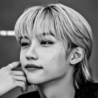 🌟 d626f752 Felix kpop, idol, singer, male, portrait, young, artist telegram sticker