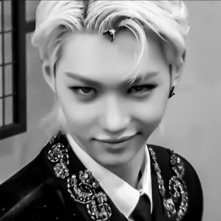 🌟 e9042bff Felix kpop, stray kids, idol, singer, felix, portrait telegram sticker