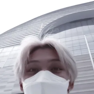 🍅 098a0483 telegram sticker