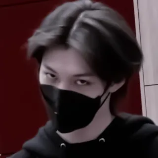 🍅 f6150506 사람, 마스크, 후드티, 인물 사진, 얼굴 telegram sticker