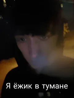 𝚂𝚑𝚊𝚍𝚘𝚠|𝙵𝚊𝚌𝚎 telegram stickers