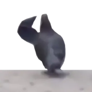 🐦 55390c1f whatsapp sticker