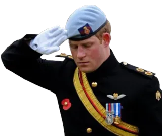 🤴 77c333d6 pangeran, harry, militer, seragam, hormat, kerajaan, inggris whatsapp sticker