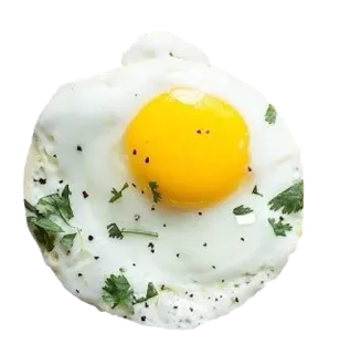 🍳 ac611c3a telur, telur goreng, makanan, sarapan, kuning telur, memasak telegram sticker