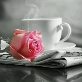 ☕️ 94d5b16b カップ, バラ, 新聞, コーヒー, 飲み物, 花, ピンク telegram sticker