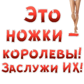 😍 2892ecf9 ЭТО НОЖКИ КОРОЛЕВЫ! ЗАСЛУЖИ ИХ! legs, queen, russian, text, humor, sticker telegram sticker