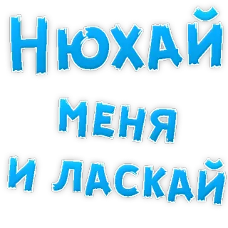 😍 a3df101b НЮХАЙ МЕНЯ И ЛАСКАЙ russian, sniff me, caress me, blue, text, sticker telegram sticker