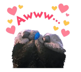 ❤ 6db24f6a AWWW nutrias, lindo, corazones, amor, animales telegram sticker