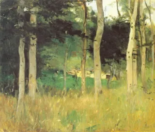 🌷 adeba420 trees, forest, landscape, nature, painting, birch trees, grass telegram sticker