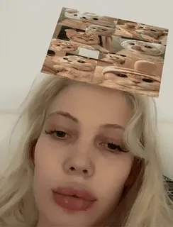 🐱 5d4225fd telegram sticker