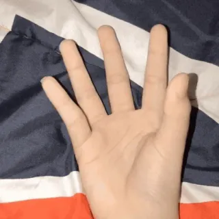 🌺 2c16a7d2 main, geste, doigts whatsapp sticker