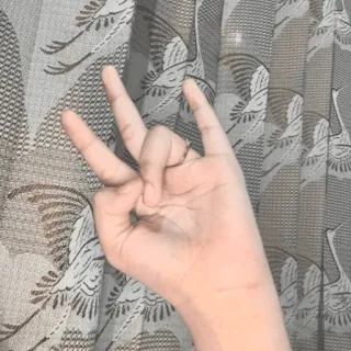 ✌ c08d340d geste de la main, geste offensant whatsapp sticker