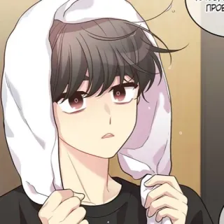 🐱 ae0cefd9 whatsapp sticker