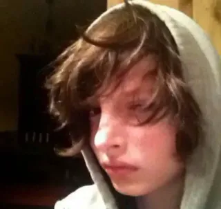 🎸 30683f74 Finn Wolfhard นักแสดง, วัยรุ่น, ภาพเหมือน, เสื้อมีฮู้ด telegram sticker