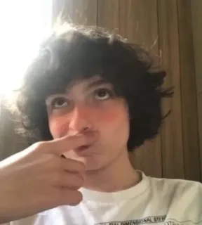 🎸 bee08689 telegram sticker