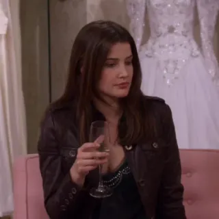 🍕 48407ac8 Robin Scherbatsky How I Met Your Mother Robin Scherbatsky, How I Met Your Mother, gaun pengantin, sampanye whatsapp sticker