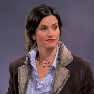 🥴 eb5e5547 Monica Geller Friends Frau, Porträt, TV-Show, Promi, Courteney Cox, Friends telegram sticker