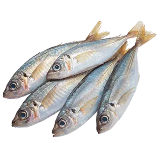 🦀 757b9178 fish, seafood, food, raw, fresh whatsapp sticker