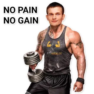 😎 cb1c3632 NO PAIN NO GAIN フィットネス, ワークアウト, モチベーション, ジム, ボディービル, 運動 telegram sticker