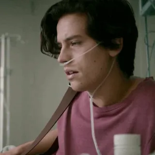 🥀 1c3508fe whatsapp sticker