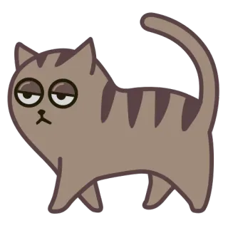 🐈 1127a95a 猫, ペット, 動物, かわいい, ステッカー, 面白い telegram sticker