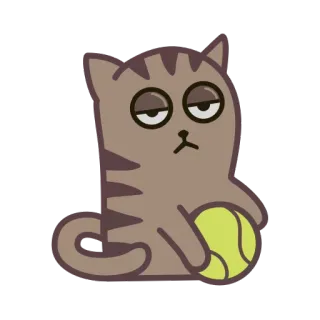 😜 55afd131 猫, テニスボール, 退屈, 漫画, かわいい, 動物 telegram sticker