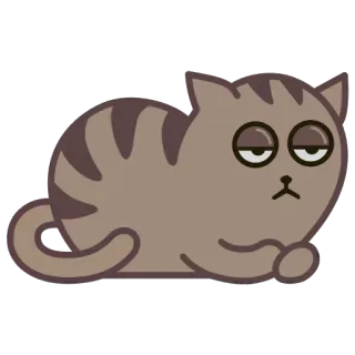 😒 72dfe2c0 猫, かわいい, 動物, 眠い, 疲れた, だるい telegram sticker