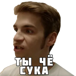 😈 660060a1 ТЫ ЧЁ СУКА en colère, offensant, jurer, insulter telegram sticker