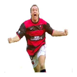 👌 cf2dd964 LUBRAX piłka nożna, sport, sportowiec, futbol amerykański, celebracja telegram sticker