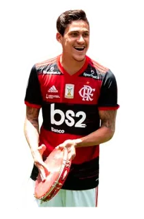 Flamengo 2020 telegram stickers