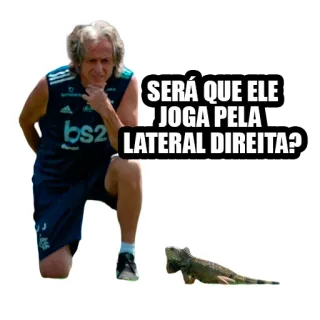 🦎 74f2a109 SERÁ QUE ELE JOGA PELA LATERAL DIREITA? Meme, Calcio, Calcio, Iguana, Divertente, Sport telegram sticker