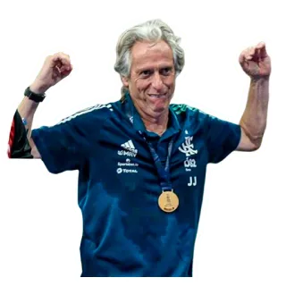 💪 7cf98b3b calcio, allenatore, celebrazione, sport, uomo, medaglia, vittoria telegram sticker