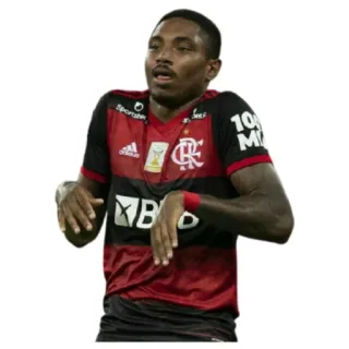 🧟‍♂️ 8e020127 Calciatore, Sport, Atleta, Calcio, Esultanza, Flamengo telegram sticker
