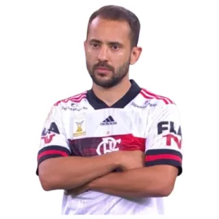 Flamengo 2020 telegram stickers
