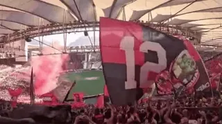 😁 f8ca46f8 futebol, fãs, estádio, bandeira, esporte, multidão whatsapp sticker