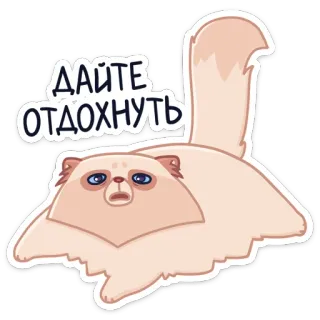 ☹️ 1c036535 ДАЙТЕ ОТДОХНУТЬ 猫, 可爱, 懒, 波斯猫, 动物, 困, 卡通 whatsapp sticker
