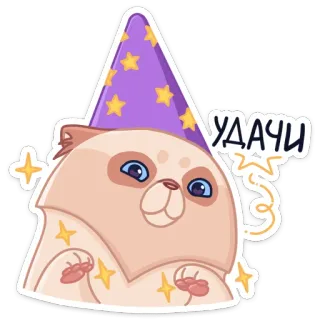 🤞 8c238098 УДАЧИ 猫, 巫师, 星星, 紫色, 可爱, 好运, 魔法, 宠物 whatsapp sticker