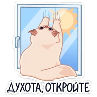 🥵 aad8a89a ДУХОТА, ОТКРОЙТЕ 猫, 窗户, 太阳, 贴纸, 可爱, 动物 whatsapp sticker