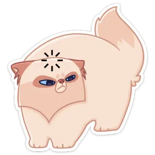 🤔 e1e17c87 猫, 波斯猫, 脾气暴躁, 动物, 可爱, 宠物 whatsapp sticker
