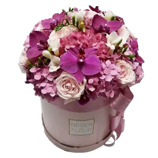 💐 170d7898 NEVEN
FLEUR bunga, buket, mawar, anggrek, rangkaian bunga, hadiah, dekoratif telegram sticker