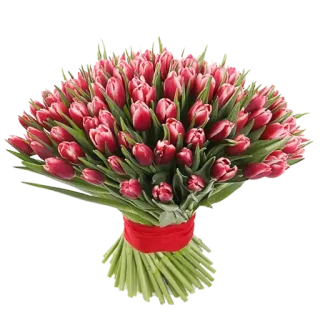 🌷 294350bd tulip, buket, bunga, merah, rangkaian bunga, hadiah telegram sticker