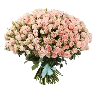 🌹 421d6876 buket, bunga, mawar, mawar pink, rangkaian bunga, hadiah, romantis, perayaan telegram sticker