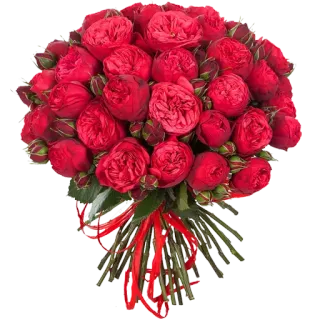 🌹 51badcf9 buket, bunga, mawar, mawar merah, rangkaian bunga, buket bunga telegram sticker