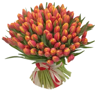 🌷 5e6bc84c bunga, tulip, buket, rangkaian bunga, bunga merah, hadiah telegram sticker