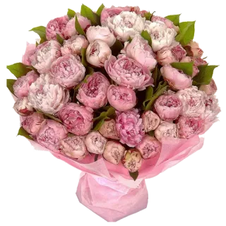 💐 5f9cd902 bunga, buket, merah muda, peoni, rangkaian bunga telegram sticker